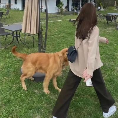 走西口的哥哥没回来